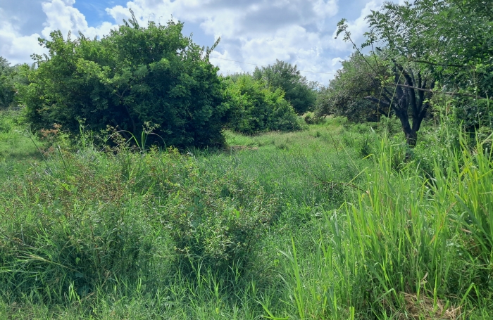 Pointe Faula parcelle 599M2 de plain-pied