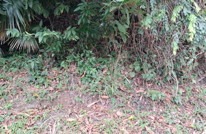 MARIN Parcelle 737m2