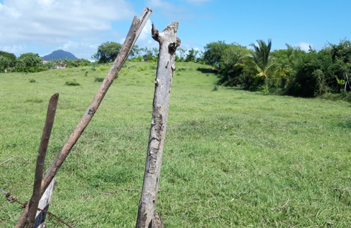 &nbsp;Sur la plage...parcelle de 468 m2 &agrave; la Pointe FAULA
