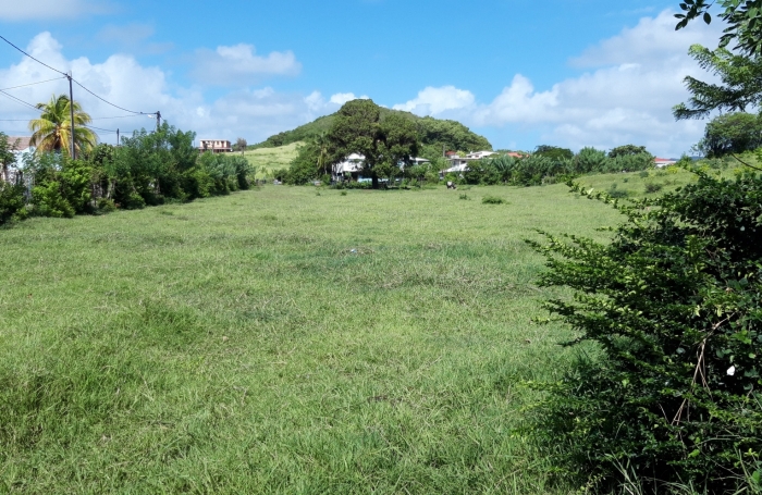 &nbsp;Sur la plage...parcelle de 468 m2 &agrave; la Pointe FAULA