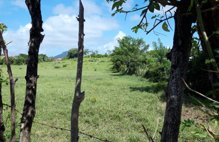 &nbsp;Sur la plage...parcelle de 468 m2 &agrave; la Pointe FAULA