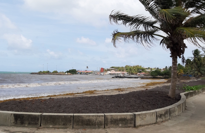  Sur la plage...parcelle de 414m2 à la Pointe FAULA