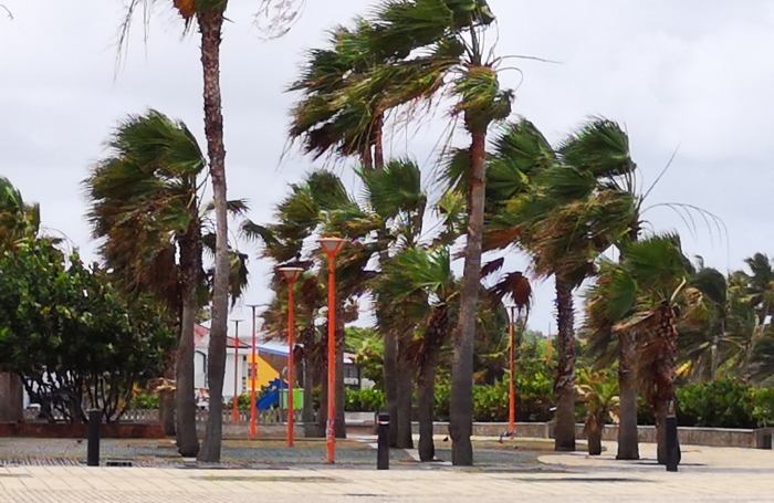  Sur la plage...parcelle de 414m2 à la Pointe FAULA