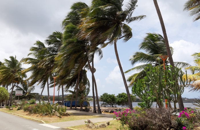 &nbsp;Sur la plage...parcelle de 585 m2 &agrave; la Pointe FAULA