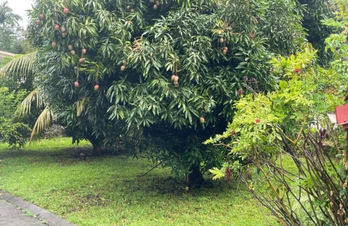 Location Maison 102m&sup2; 4 pi&#232;ces Fort de france