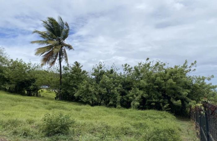 Vente Terrain 921m&sup2; Le Marin