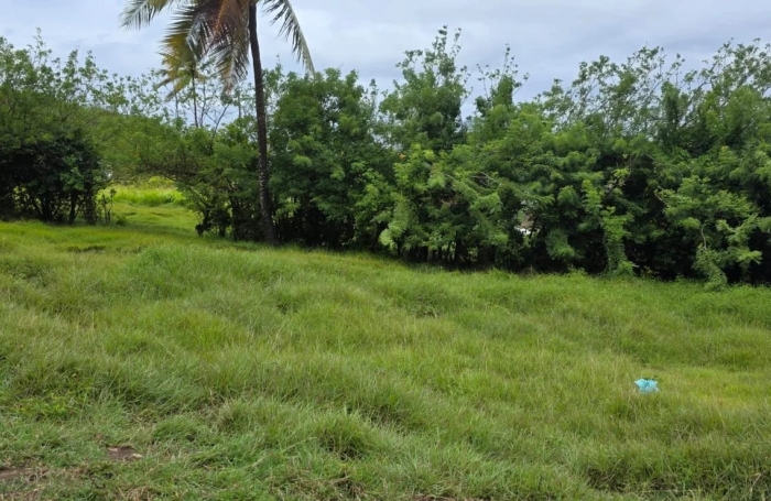 Vente Terrain 921m&sup2; Le Marin