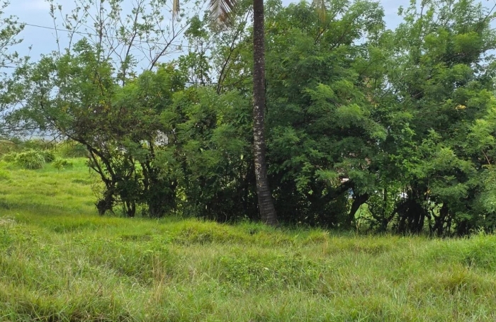 Vente Terrain 921m&sup2; Le Marin