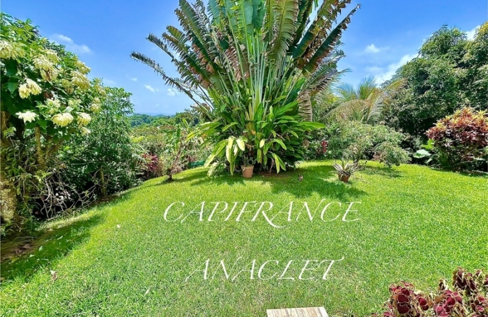 Vente Maison 244m&sup2; 7 pi&#232;ces Le Robert