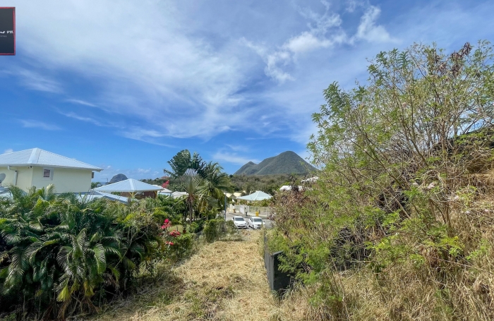 Ensemble Immobilier avec permis valide - DIAMANT (Le)