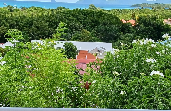 Splendide vue mer et montagne