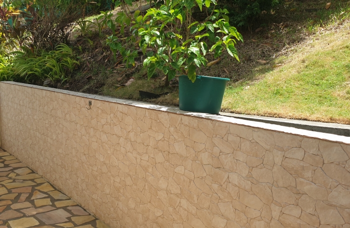 Splendide vue mer et montagne