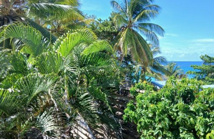 Location Appartement 59.39m&sup2; 3 pi&#232;ces Le Diamant