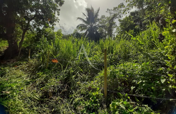 Vente Terrain 1082m² Ducos