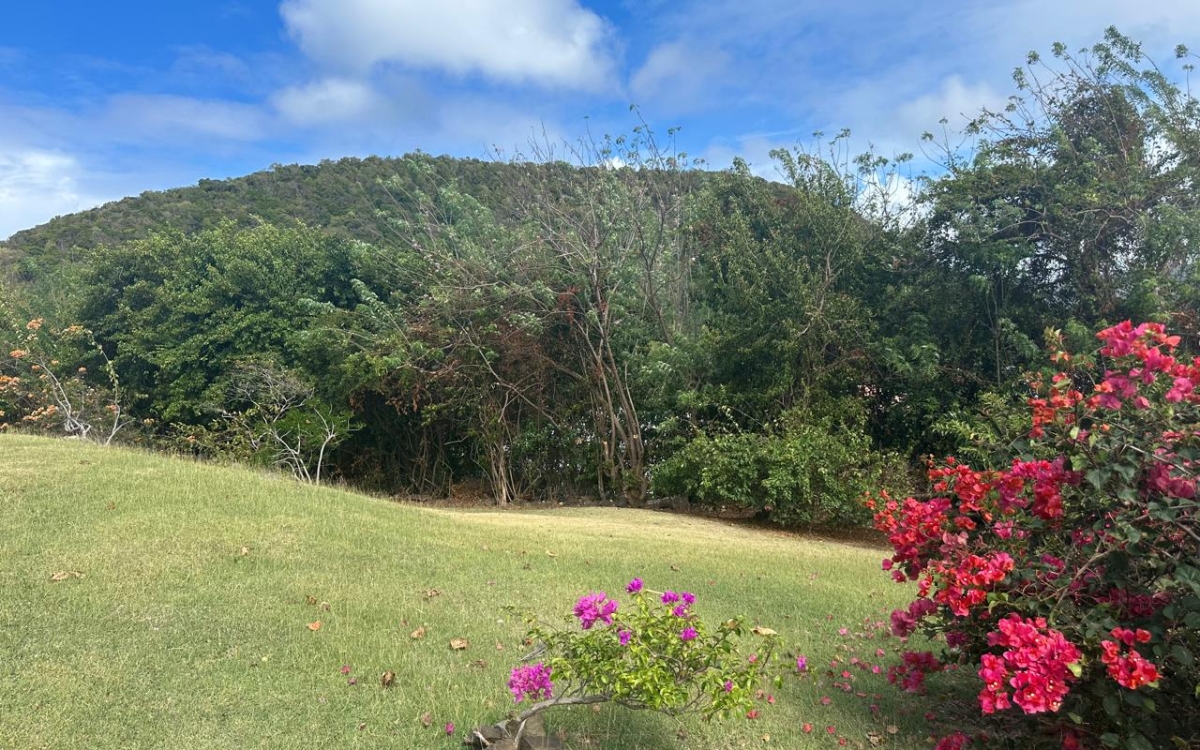 SAINTE ANNE APPARTMENT T2 DANS PETITE RESIDENCE TRANQUILLE