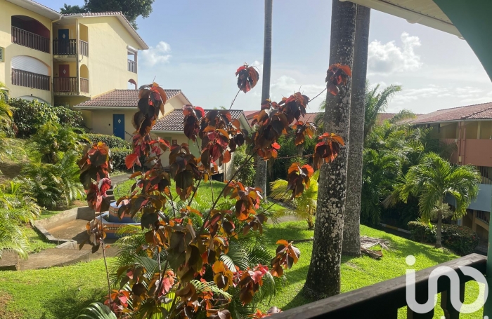 Vente Appartement 22m&sup2; 1 pi&#232;ce Sainte Anne