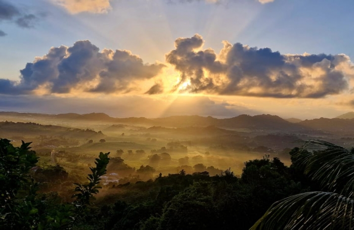 Vente Immeuble 86m&sup2; 5 pi&#232;ces Le François