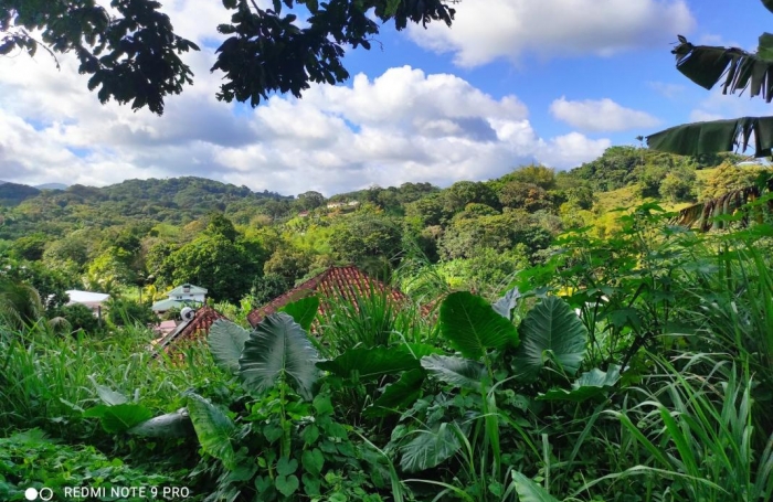 Vente Terrain 1407m&sup2; Saint-Joseph