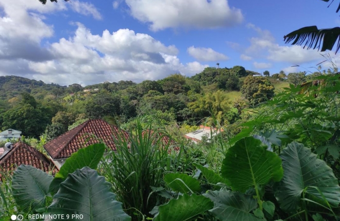 Vente Terrain 1407m&sup2; Saint-Joseph