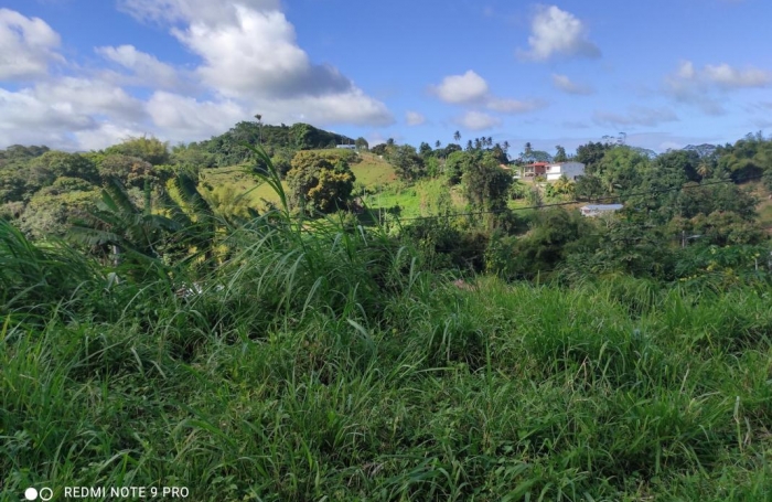 Vente Terrain 1407m&sup2; Saint-Joseph