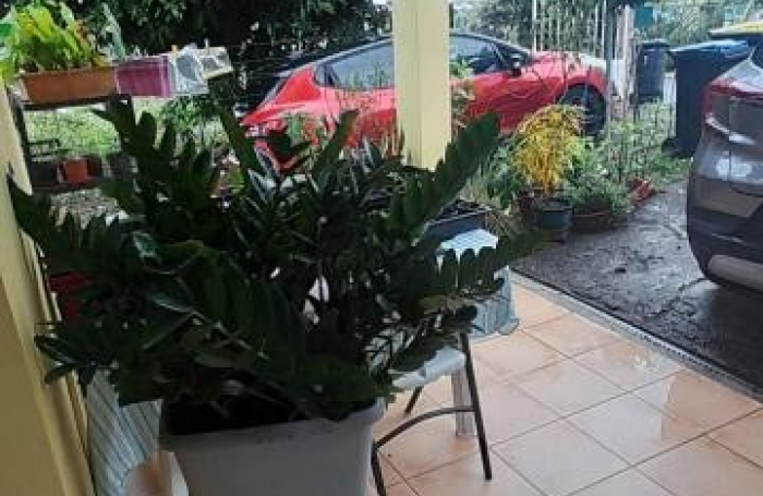 Location Appartement 97232