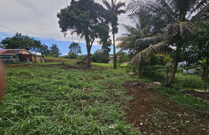 Terrain pente douce, Bourg du Morne des Esses - SAINTE-MARIE