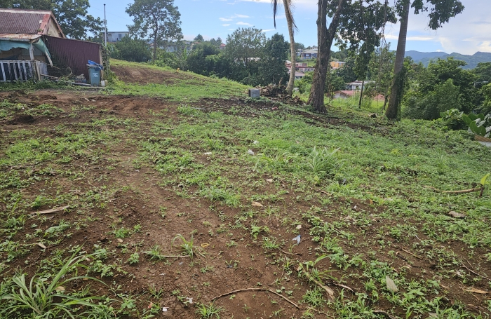 Terrain pente douce, Bourg du Morne des Esses - SAINTE-MARIE