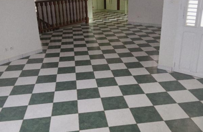 Vente Maison 253.78m&sup2; 11 pi&#232;ces Le François