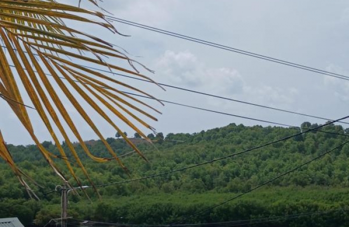 Vente Maison 253.78m&sup2; 11 pi&#232;ces Le François