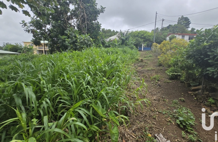 Vente Terrain 630m&sup2; Le Lamentin