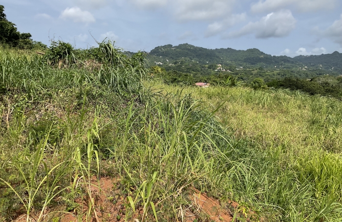 Terrain à bâtir de 477.99 m2 - LE ROBERT