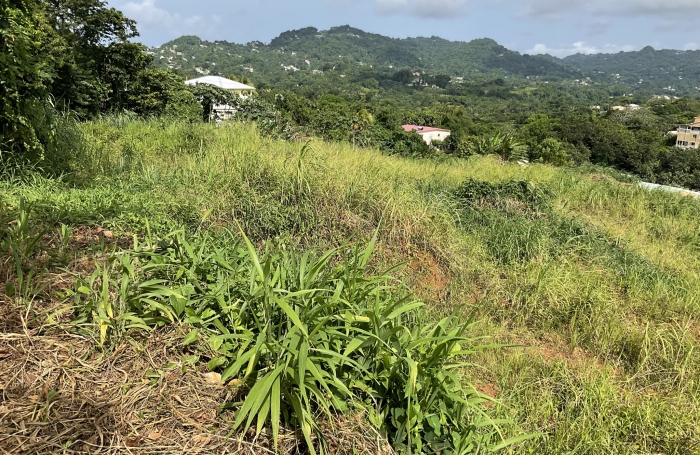 Terrain à bâtir de 495.48 m2 - LE ROBERT