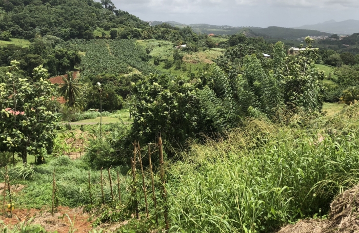 Terrain à bâtir de 705 m2 FRANCOIS