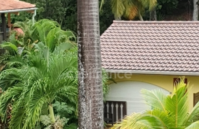 Vente Appartement 23m&sup2; 1 pi&#232;ce Sainte Anne