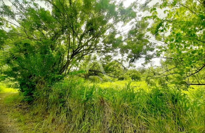 Vente Terrain 922m² Sainte Luce