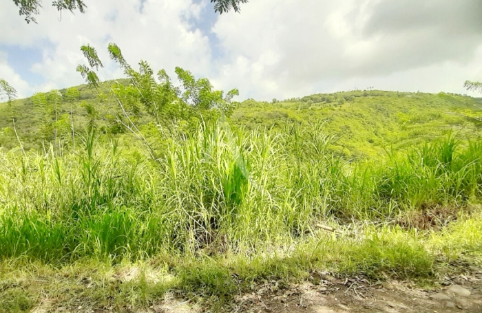 Vente Terrain 922m² Sainte Luce