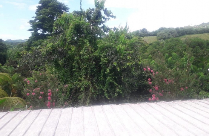 Location Appartement 70m&sup2; 2 pi&#232;ces Rivière Pilote