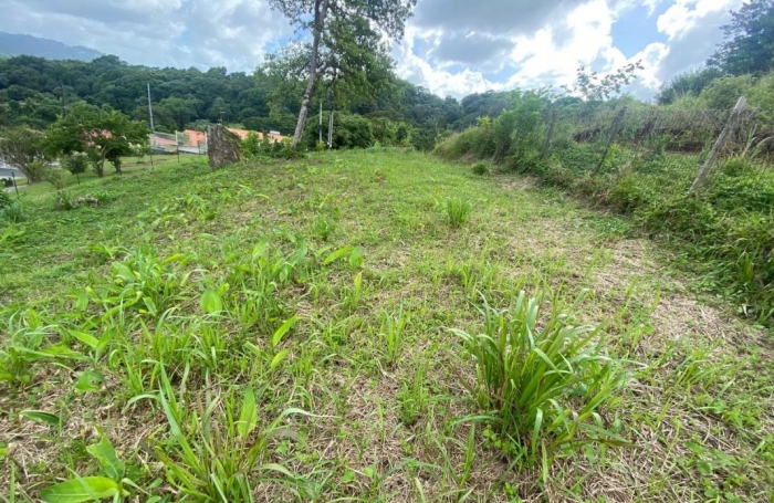 Vente Terrain 1239m&sup2; Le Robert