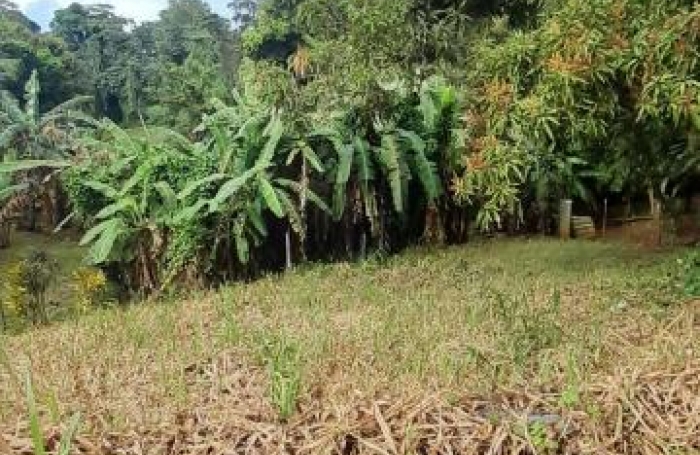 Vente Maison 181m&sup2; 7 pi&#232;ces Ducos