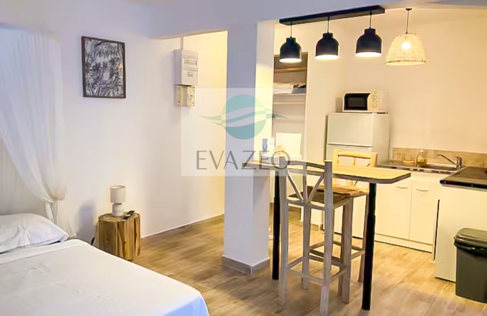 Studio neuf 25m2 + terrasse 25m2 TROIS ILETS