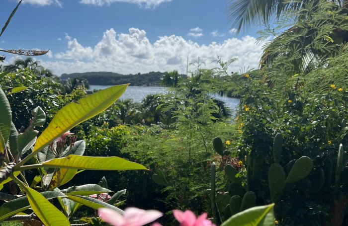 Vente Maison 197.76m&sup2; 6 pièces Le Robert