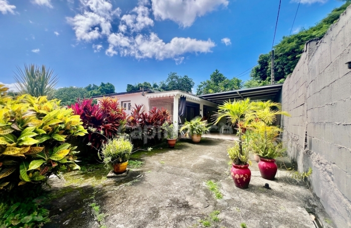 Vente Maison 239m&sup2; 9 pi&#232;ces Le Morne Vert