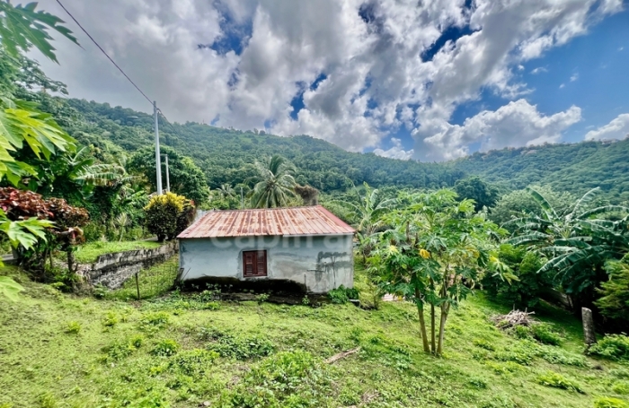 Vente Maison 239m&sup2; 9 pi&#232;ces Le Morne Vert