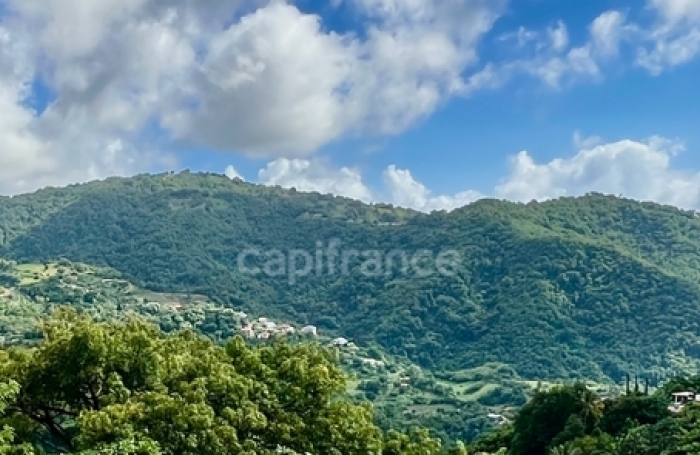 Vente Maison 239m&sup2; 9 pi&#232;ces Le Morne Vert