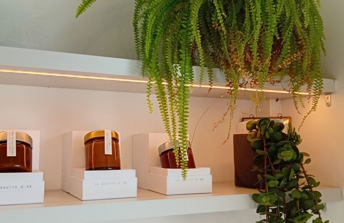 Vente Fonds de commerce 1m² Fort de france