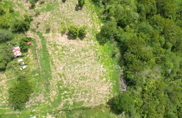 Vente Terrain 1919m&sup2; Le Carbet