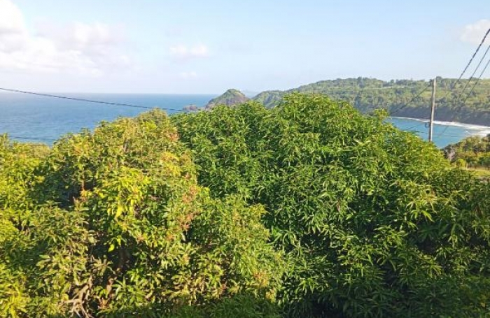 Vente Immeuble 240m&sup2; 12 pi&#232;ces Le Marigot