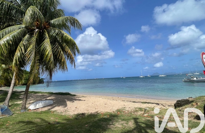 Vente Appartement 35m&sup2; 2 pi&#232;ces Sainte Anne