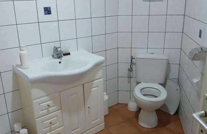 Location Local commercial Ducos