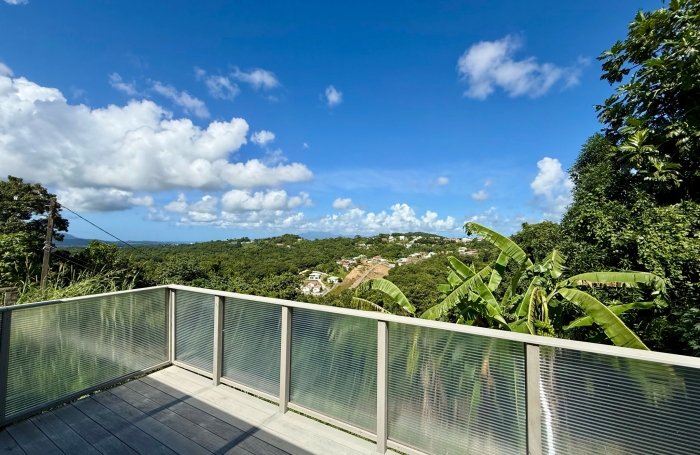 Jolie maison T5 rénovée - SAINTE-LUCE